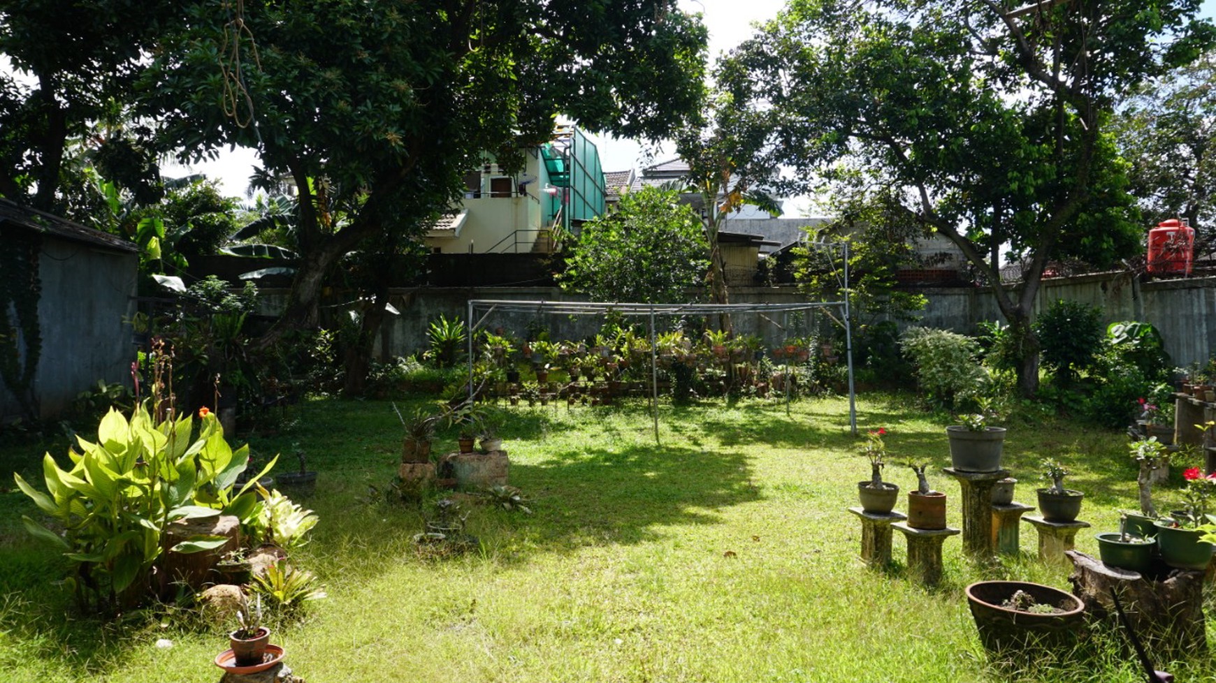 Rumah dengan Taman Pribadi yang Asri - Pejaten, Jakarta Selatan