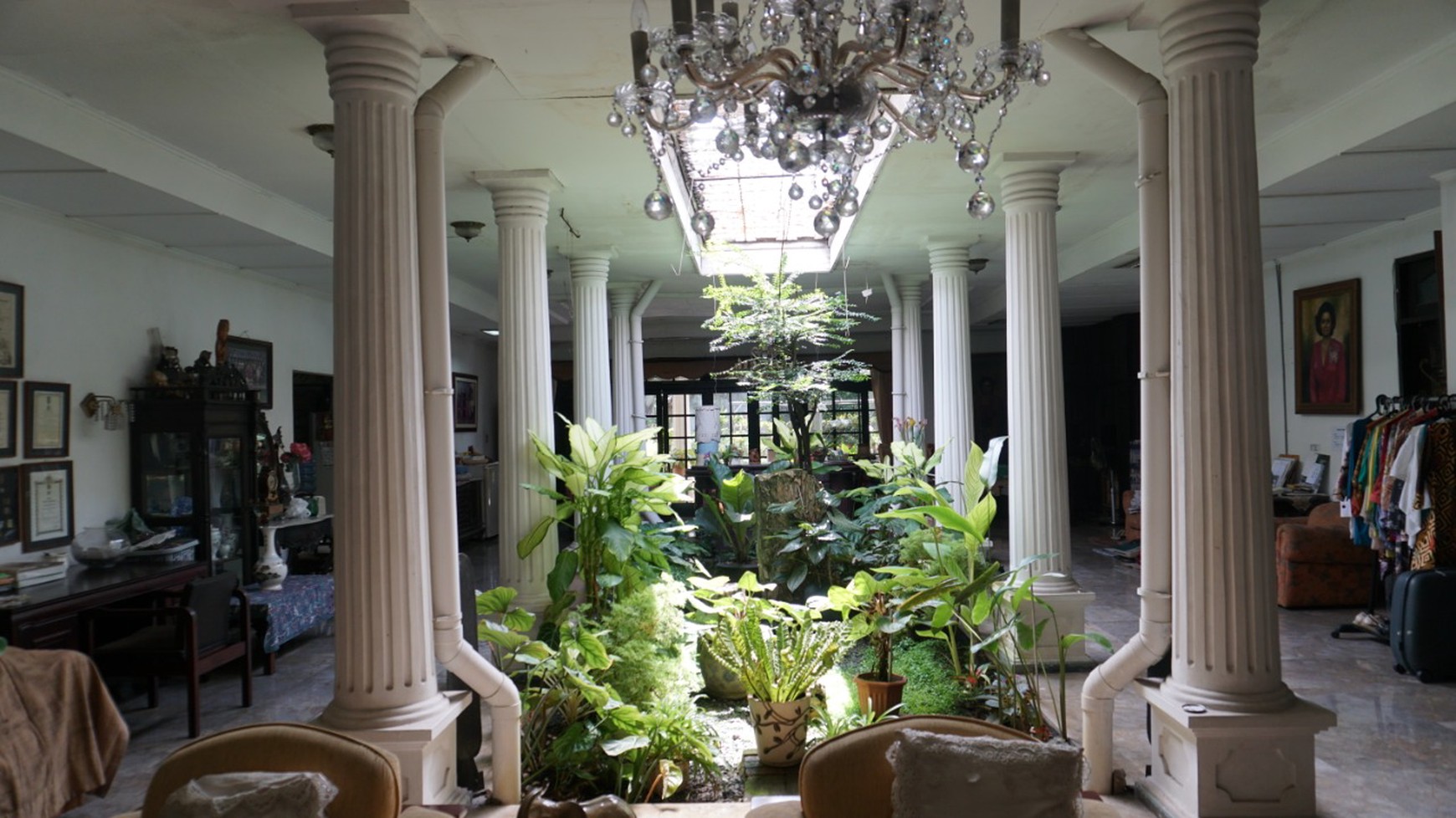 Rumah dengan Taman Pribadi yang Asri - Pejaten, Jakarta Selatan