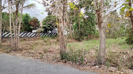 Tanah pekarangan dekat Raja Klana Resto Balecatur gamping Sleman Yogyakarta