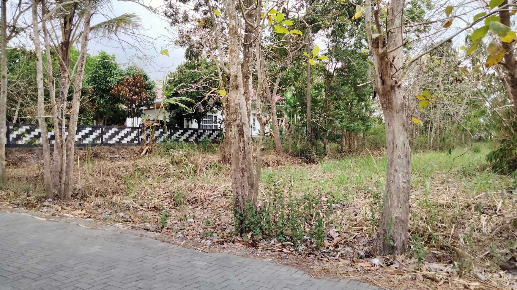 Tanah pekarangan dekat Raja Klana Resto Balecatur gamping Sleman Yogyakarta