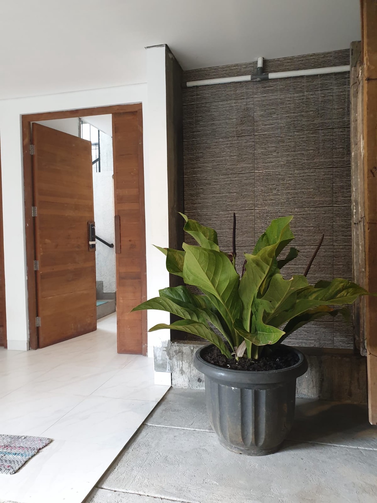 Kost an Exclusive  di Jakarta selatan