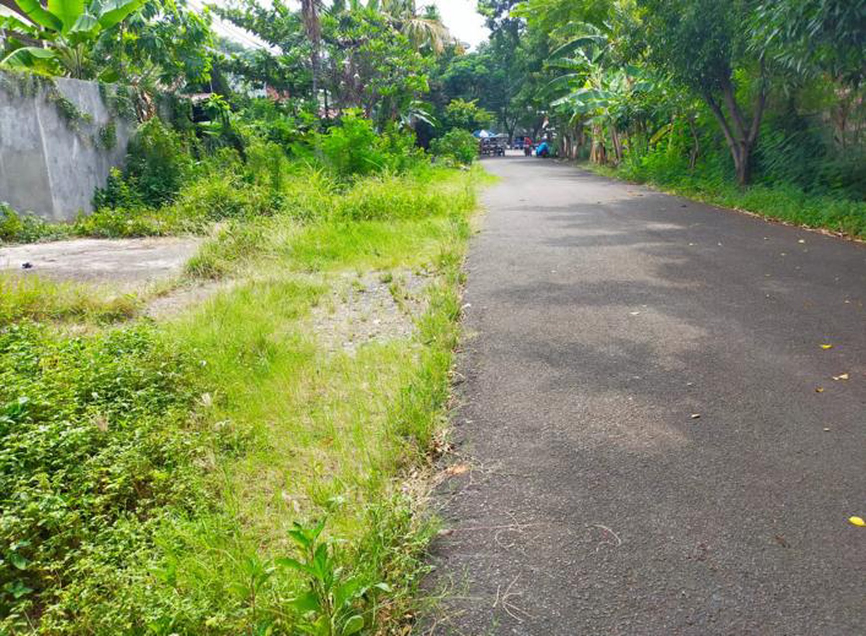 Tanah dijual di jalan Rembiga Gunung Sahari luas 300 m2 dalam komplek dekat ke jl Industri