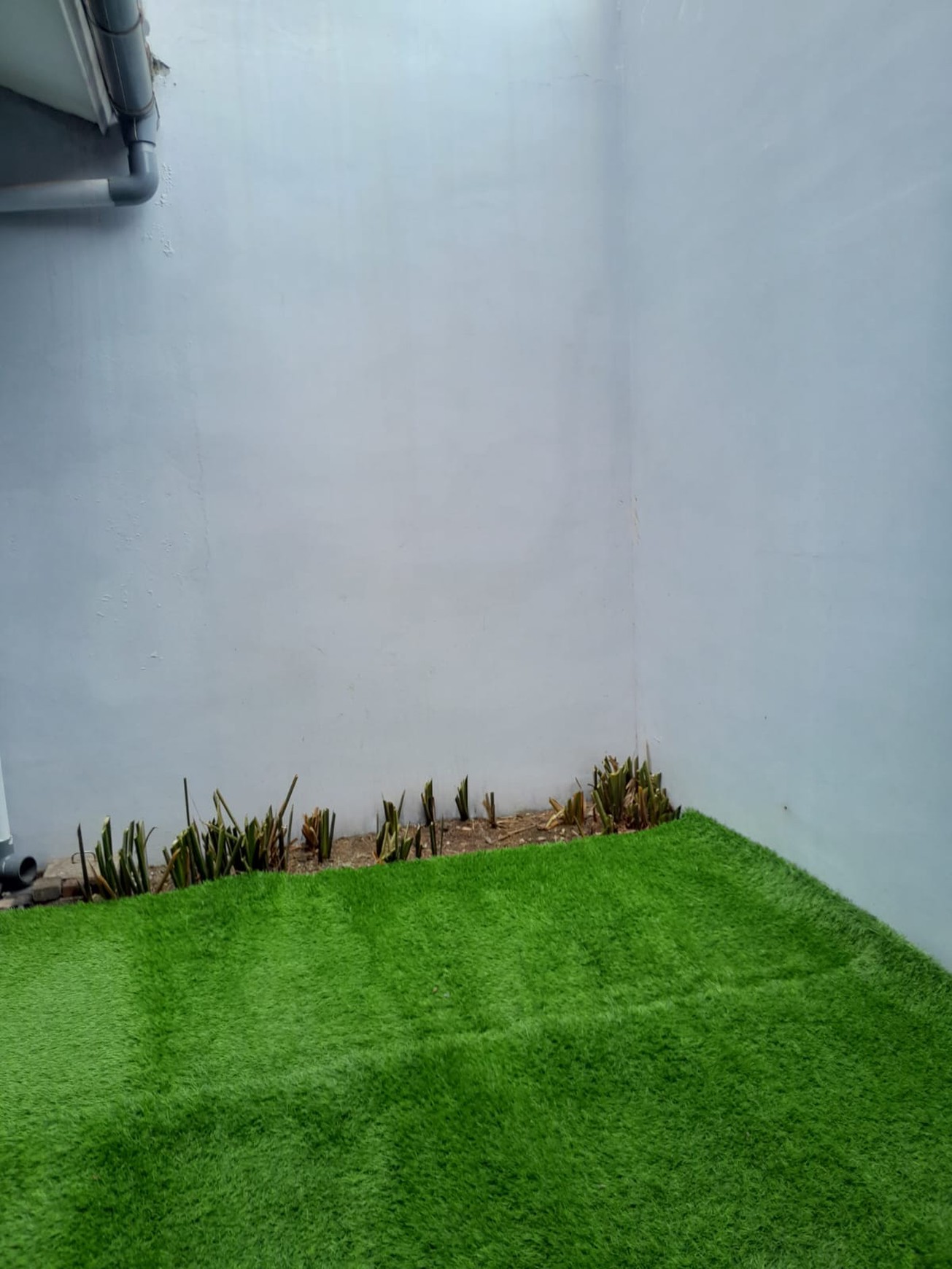 Rumah dengan halaman asri di dalam rumah kawasan Puri Bintaro Sektor 9