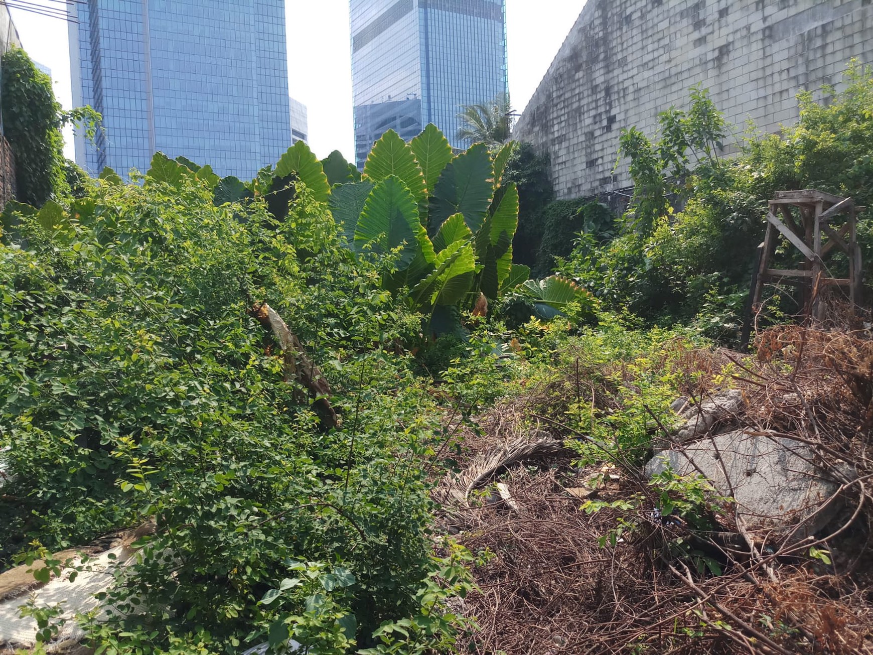 Dijual Tanah Cocok Untuk Tempat Tinggal Dan Tempat Usaha Lokasi Di Jl. Flamboyan, Karet, Jakarta Selatan