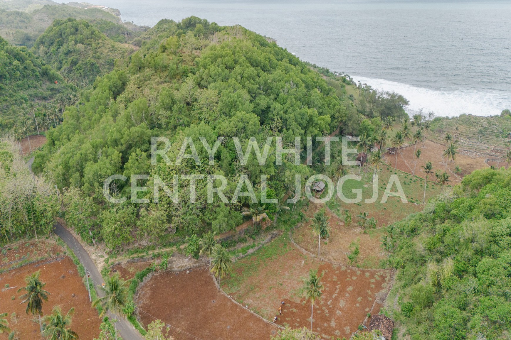 Dijual Tanah Luas 32.420 Meter Persegi Lokasi di Ngrenehan, Saptosari, Gunung kidul