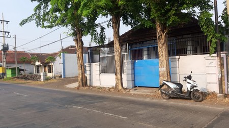 Dijual Rumah Pekarangan Luas di Nol Jalan Raden Wijaya Probolinggo