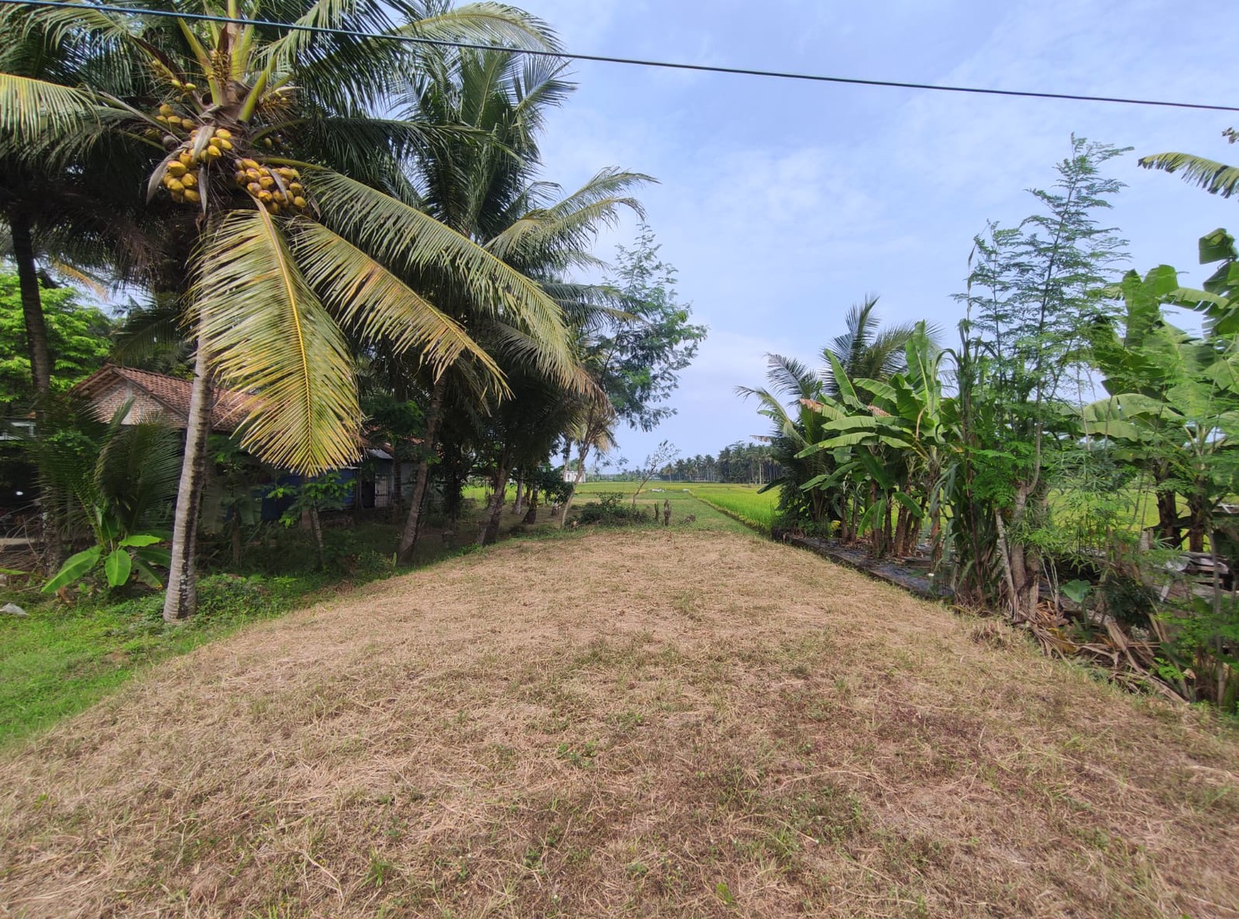 Tanah Pekarangan Pinggir Jalan Raya Wates Purworejo Dekat Bandara YIA