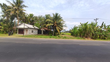 Tanah Pekarangan Pinggir Jalan Raya Wates Purworejo Dekat Bandara YIA