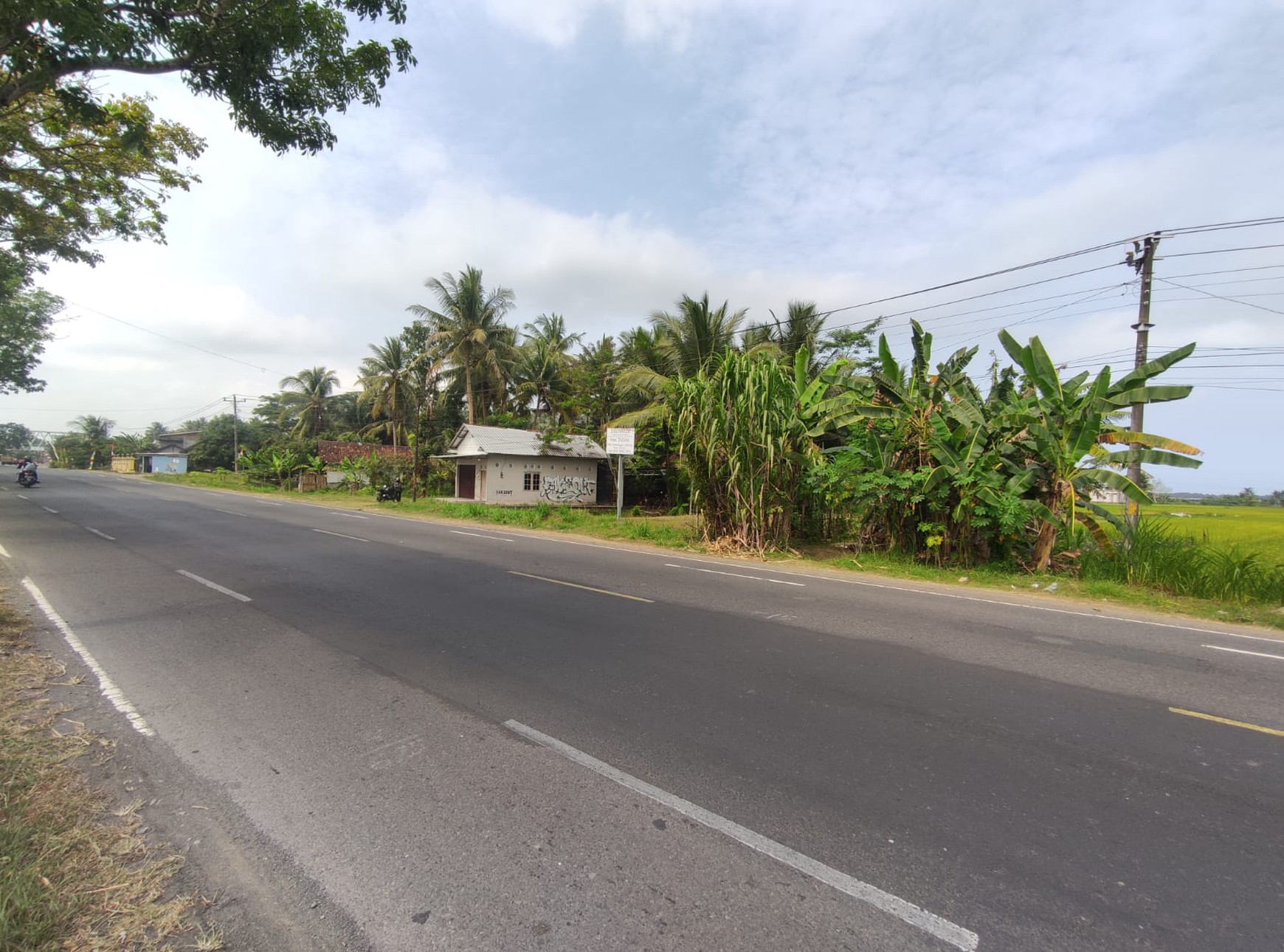 Tanah Pekarangan Pinggir Jalan Raya Wates Purworejo Dekat Bandara YIA