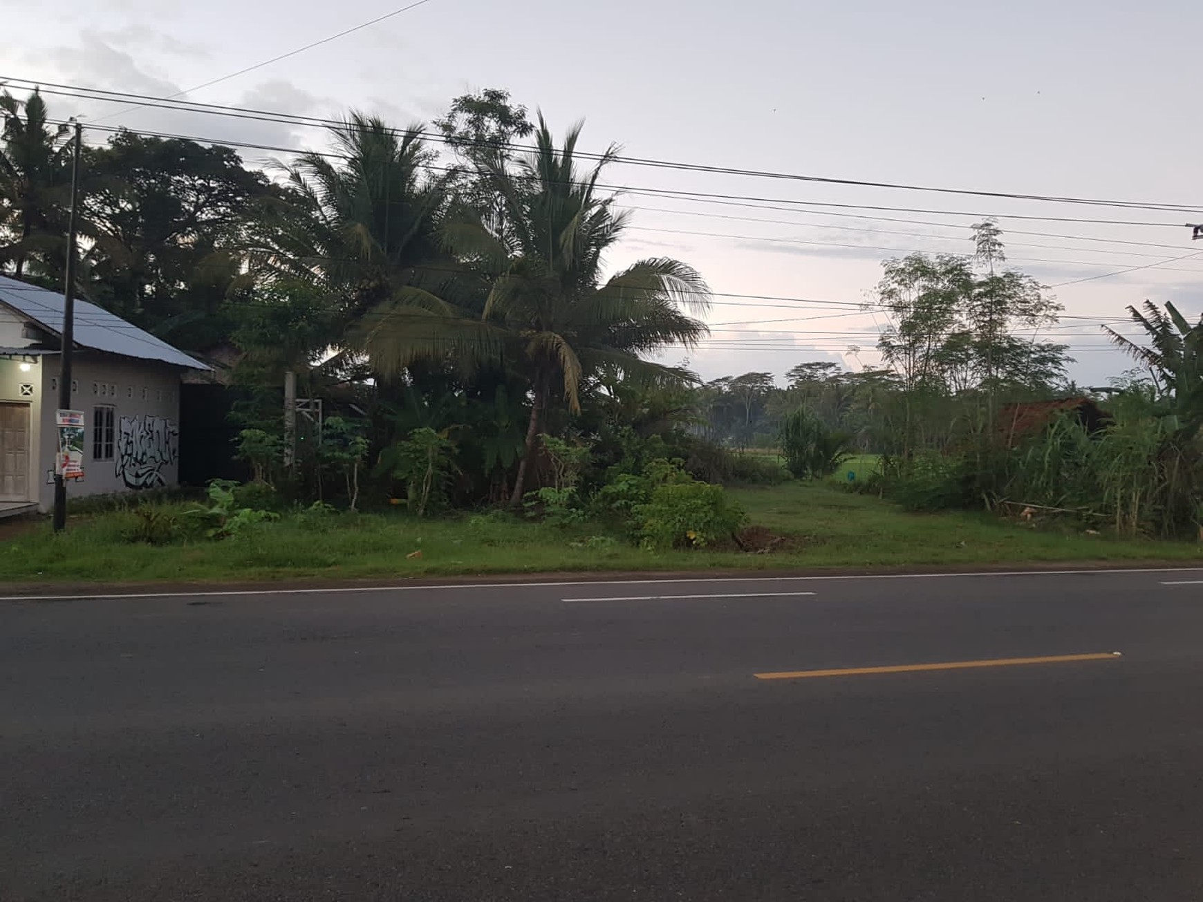 Tanah Pekarangan Pinggir Jalan Raya Wates Purworejo Dekat Bandara YIA