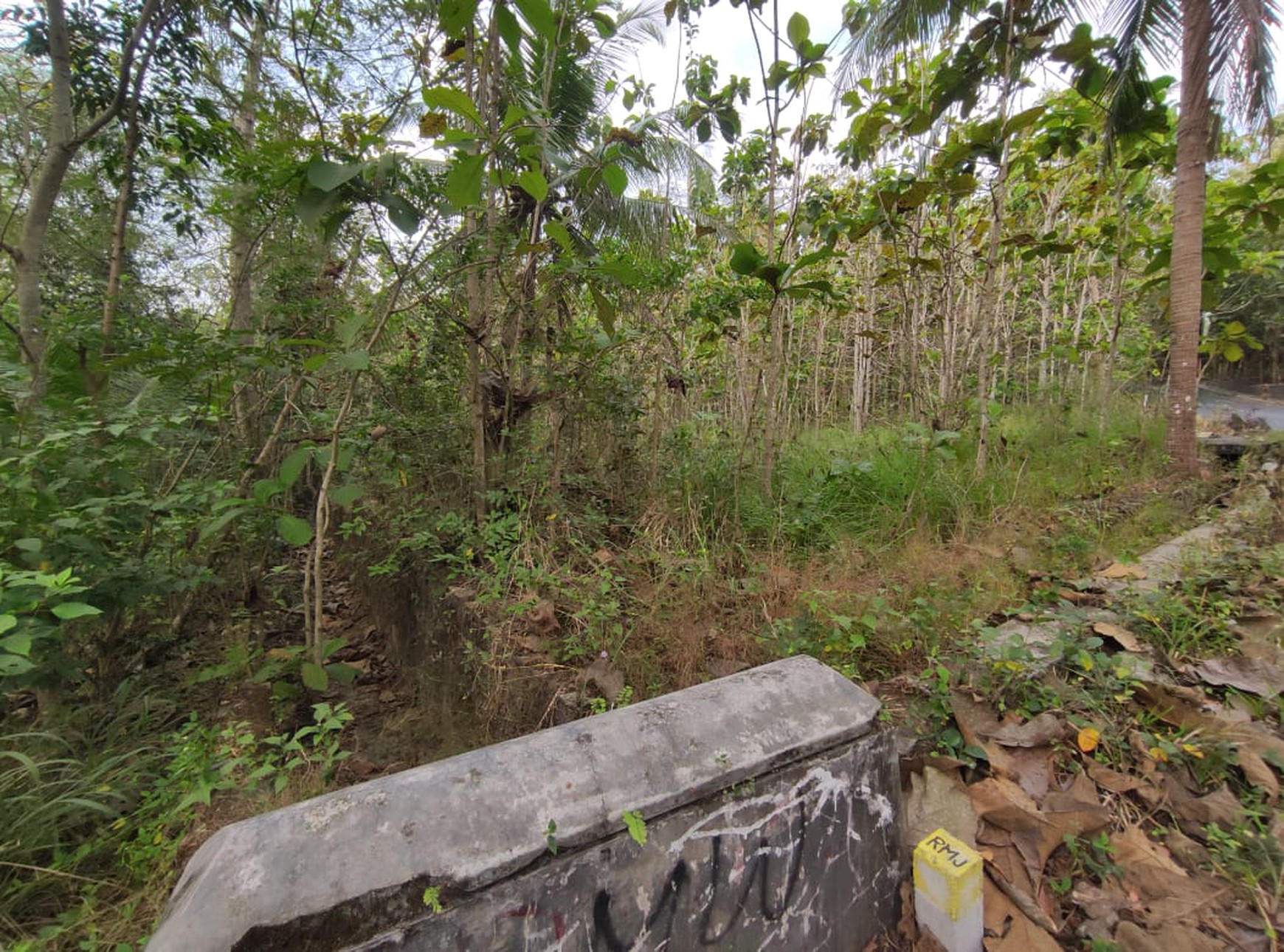 Tanah Dijual Luas 1898 Meter Persegi di Jalan Milir, Panjatan - Kulon Progo