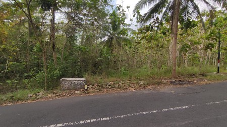 Tanah Dijual Luas 1898 Meter Persegi di Jalan Milir, Panjatan - Kulon Progo