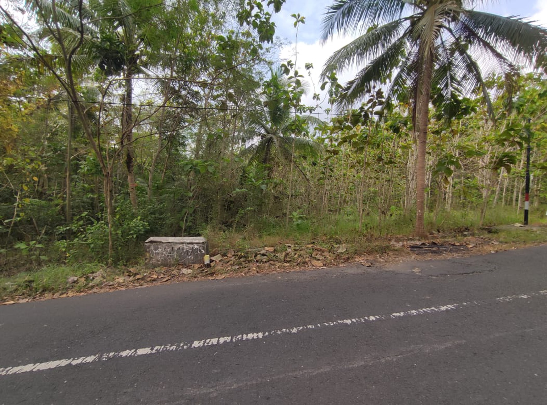 Tanah Dijual Luas 1898 Meter Persegi di Jalan Milir, Panjatan - Kulon Progo