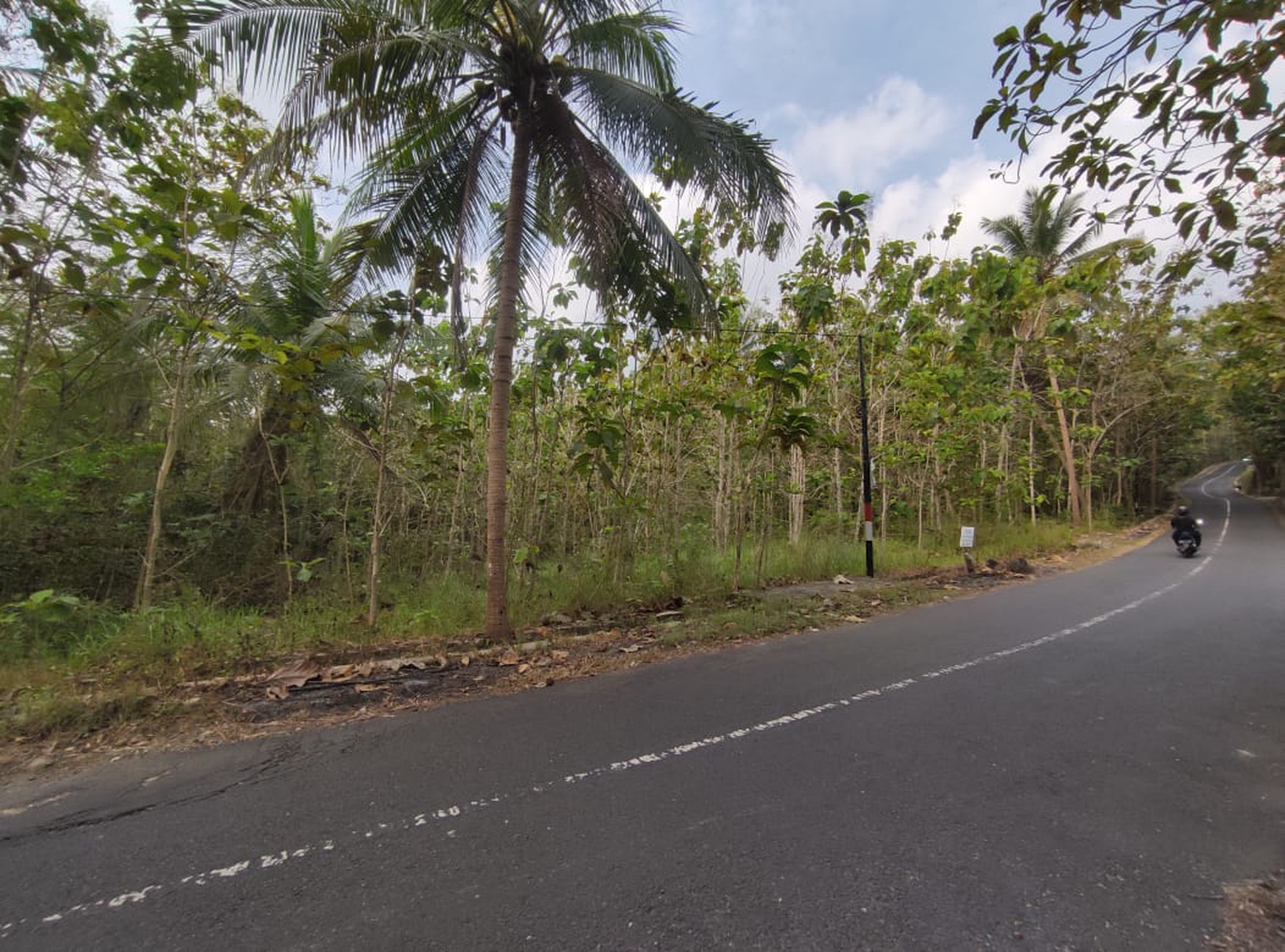 Tanah Dijual Luas 1898 Meter Persegi di Jalan Milir, Panjatan - Kulon Progo