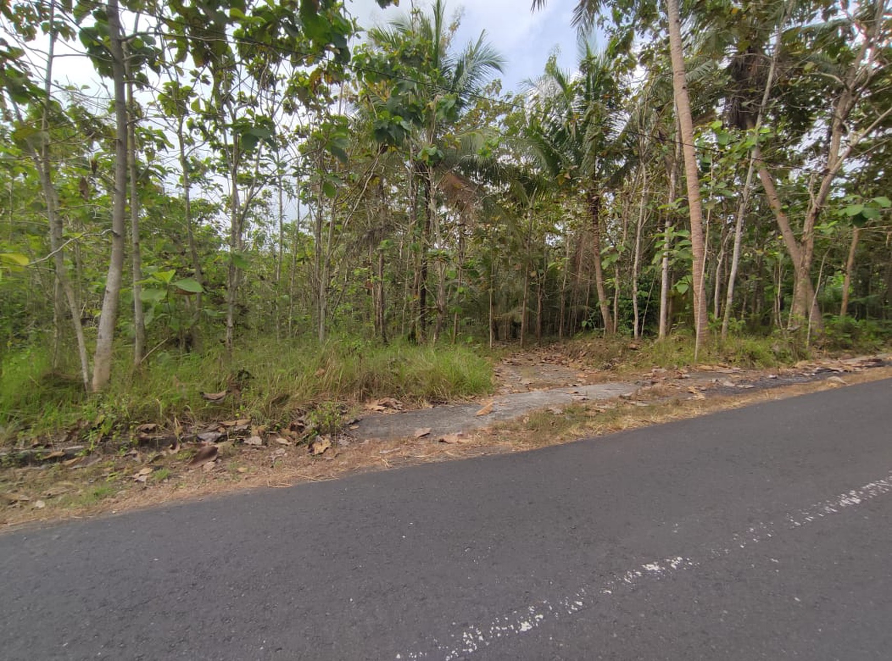 Tanah Dijual Luas 1898 Meter Persegi di Jalan Milir, Panjatan - Kulon Progo