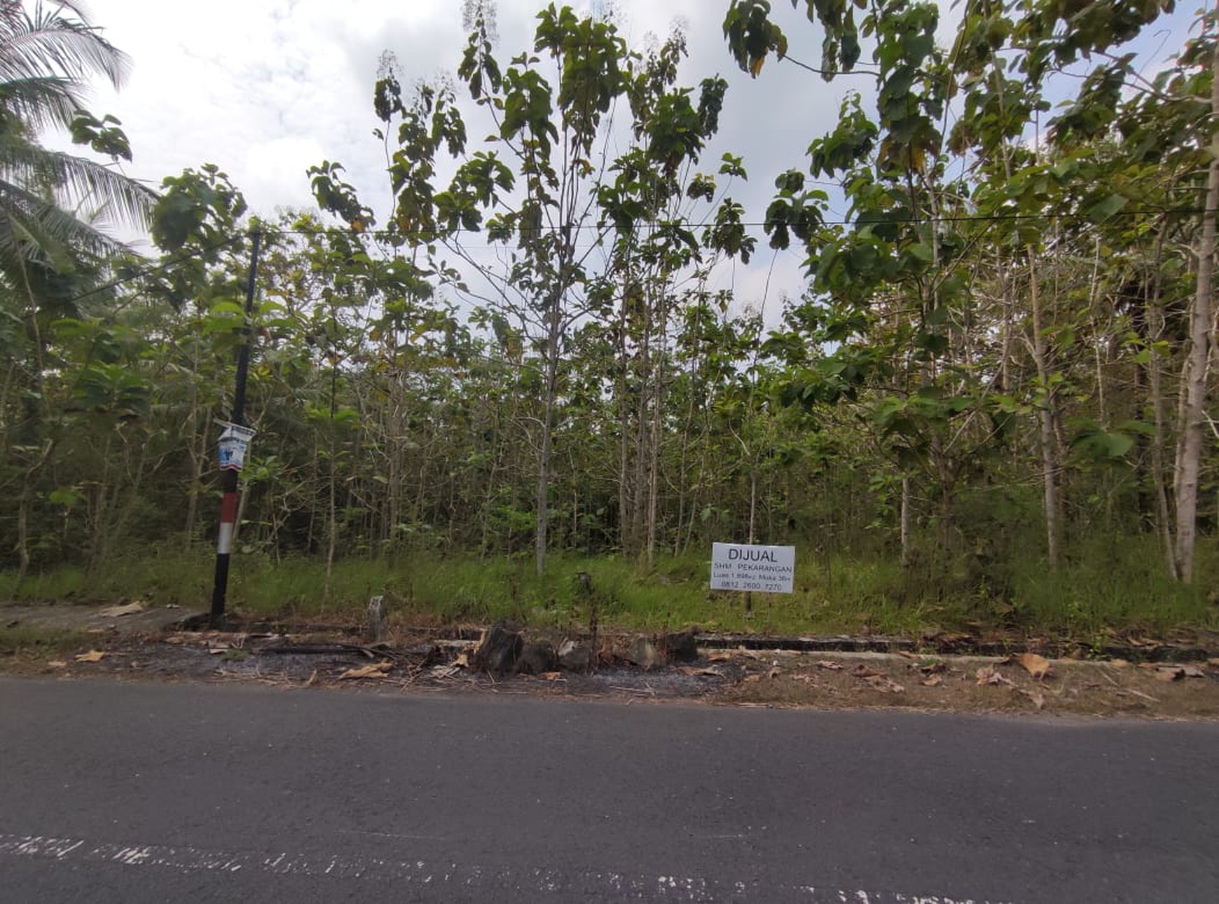 Tanah Dijual Luas 1898 Meter Persegi di Jalan Milir, Panjatan - Kulon Progo