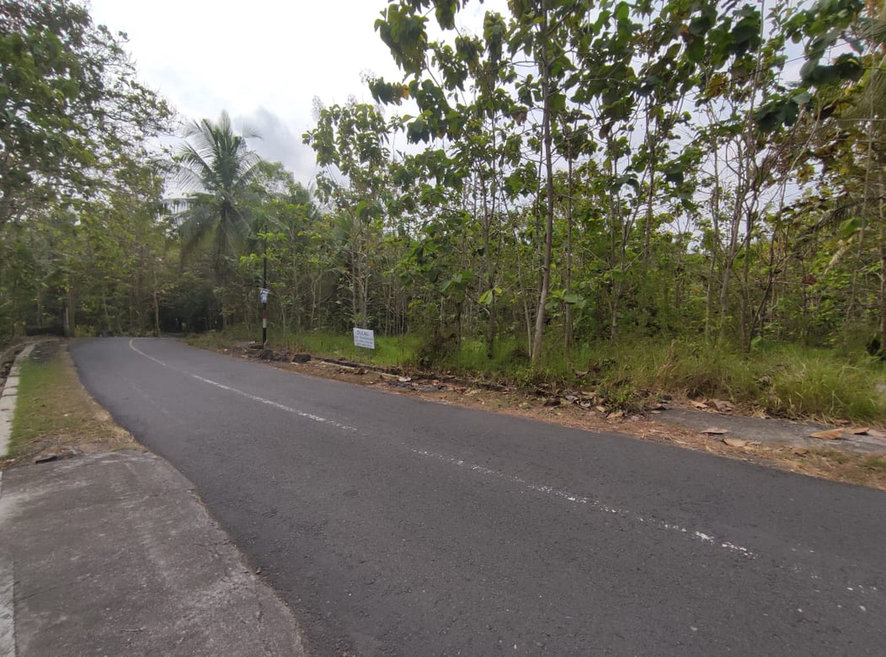 Tanah Dijual Luas 1898 Meter Persegi di Jalan Milir, Panjatan - Kulon Progo