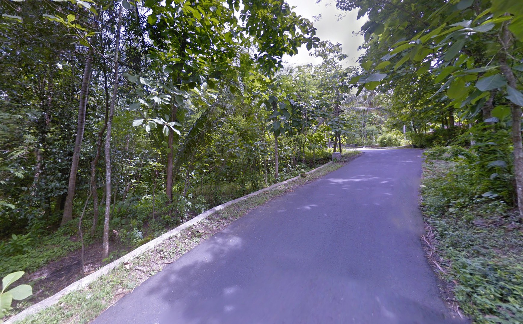 Tanah Dijual Luas 1898 Meter Persegi di Jalan Milir, Panjatan - Kulon Progo