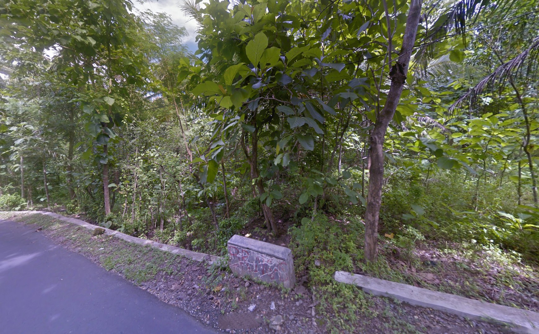 Tanah Dijual Luas 1898 Meter Persegi di Jalan Milir, Panjatan - Kulon Progo