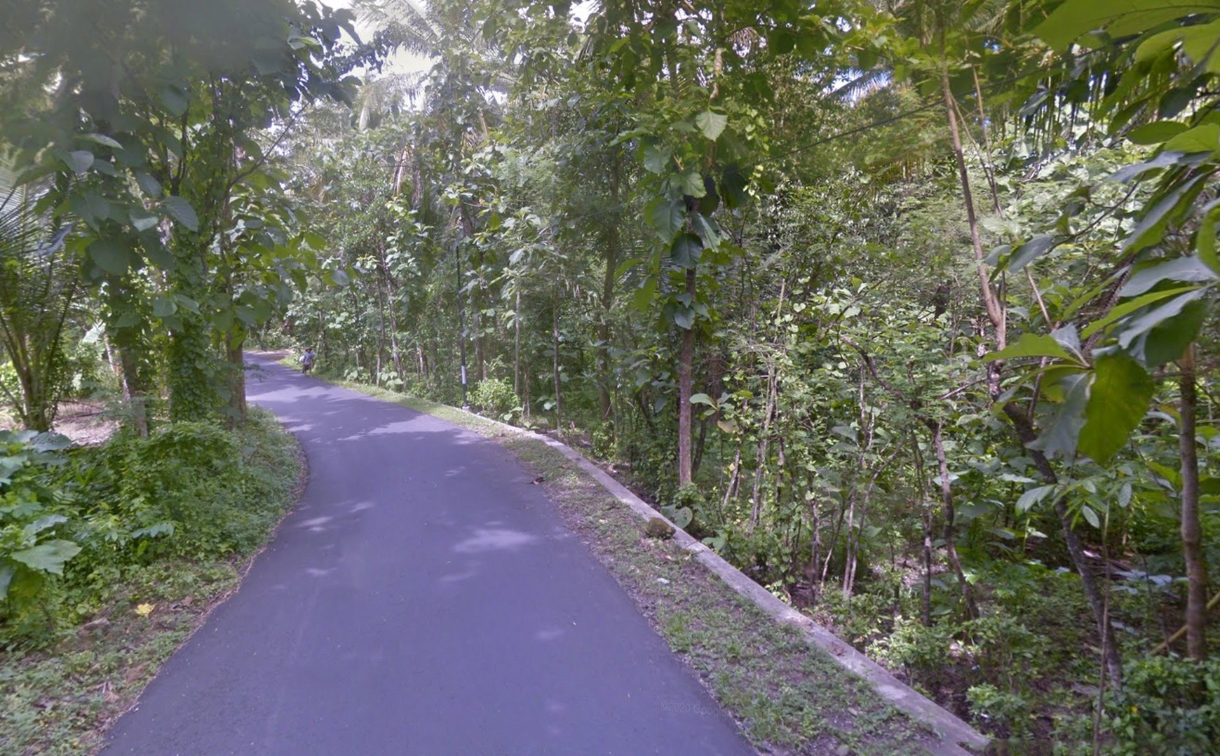 Tanah Dijual Luas 1898 Meter Persegi di Jalan Milir, Panjatan - Kulon Progo