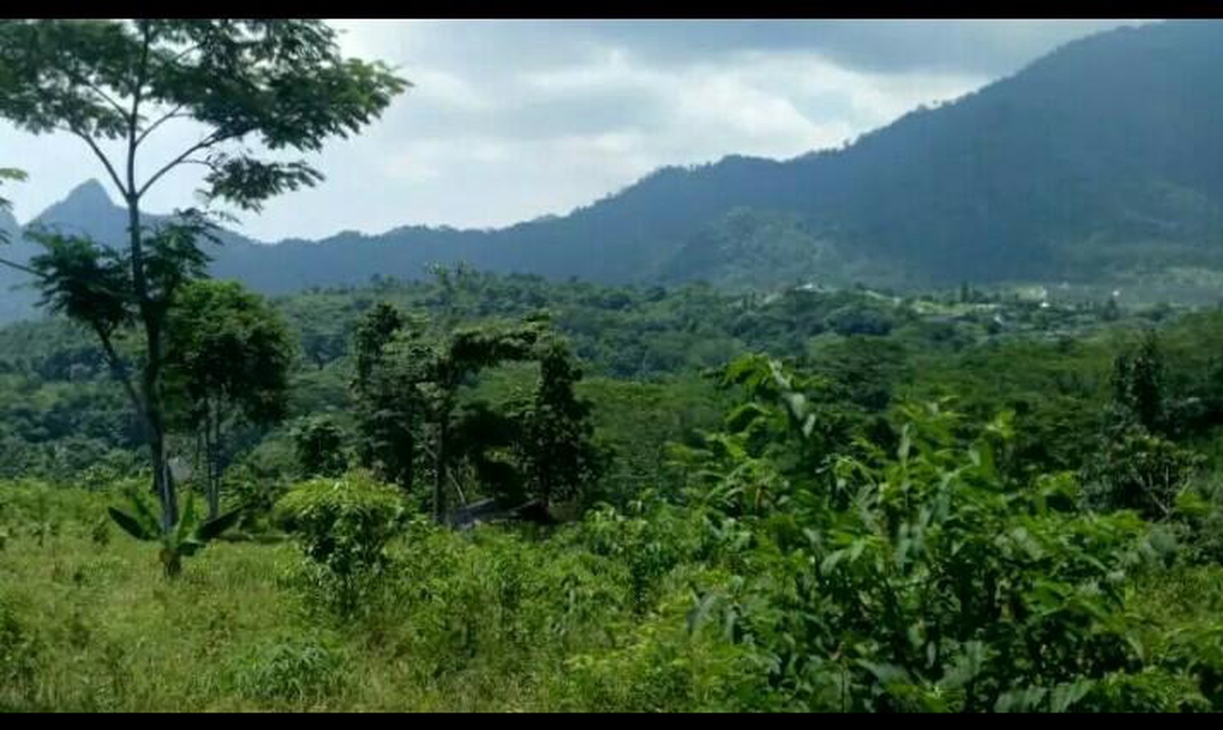 Tanah 5000 Meter di Jonggol Bogor Harga 75 Rb Nego Sampai jadi