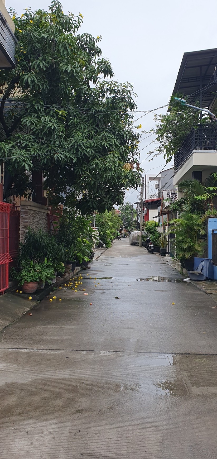 Rumah apik di Jalan Sungai Indragiri, Semper, Cilincing. Luas 78m2. Sudah renov total