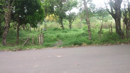 Tanah 5000 m&#xb2; Cocok Villa / Bisnis Kawasan Wisata Pelabuhan Ratu