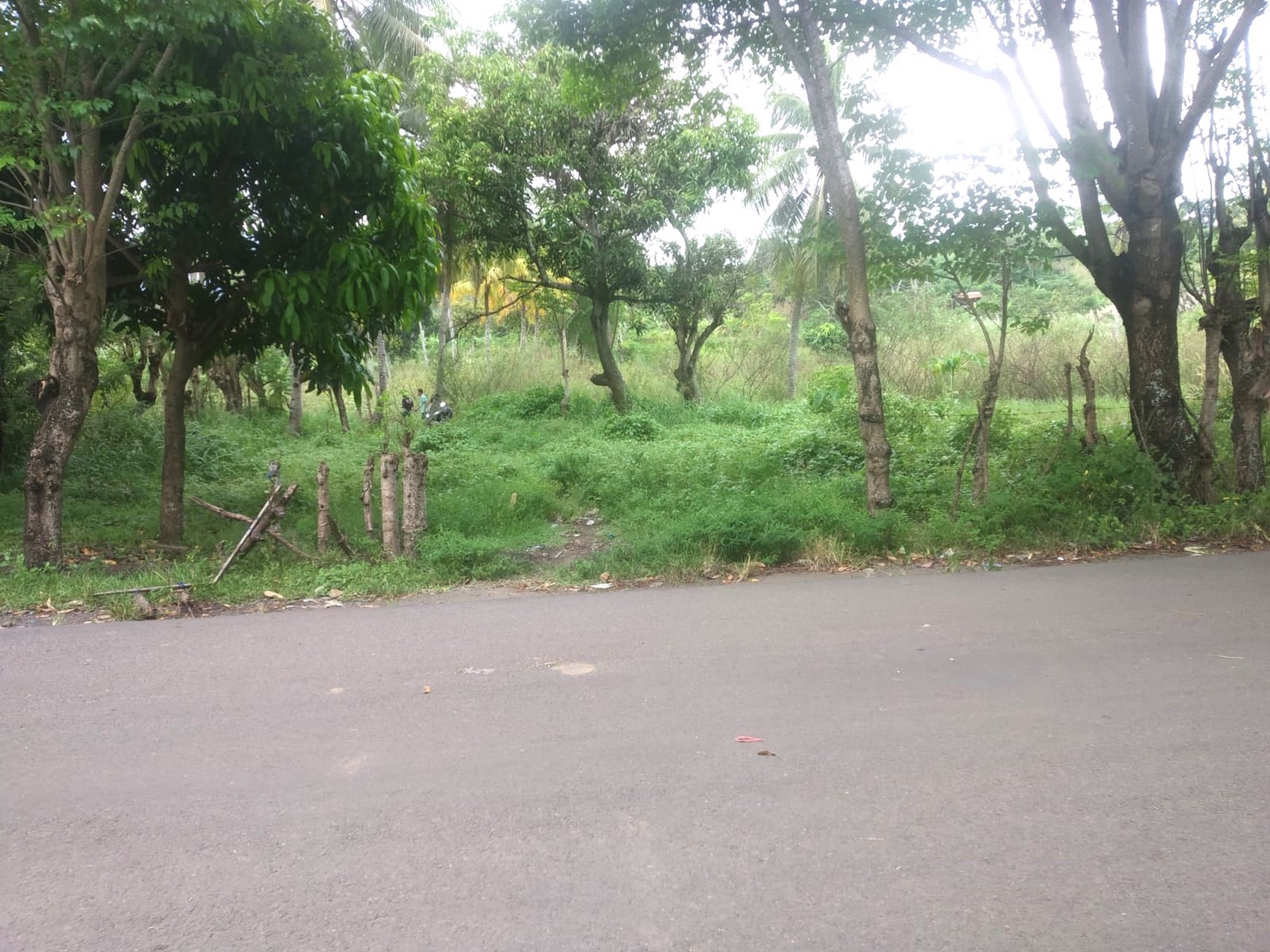 Tanah 5000 m&#xb2; Cocok Villa / Bisnis Kawasan Wisata Pelabuhan Ratu