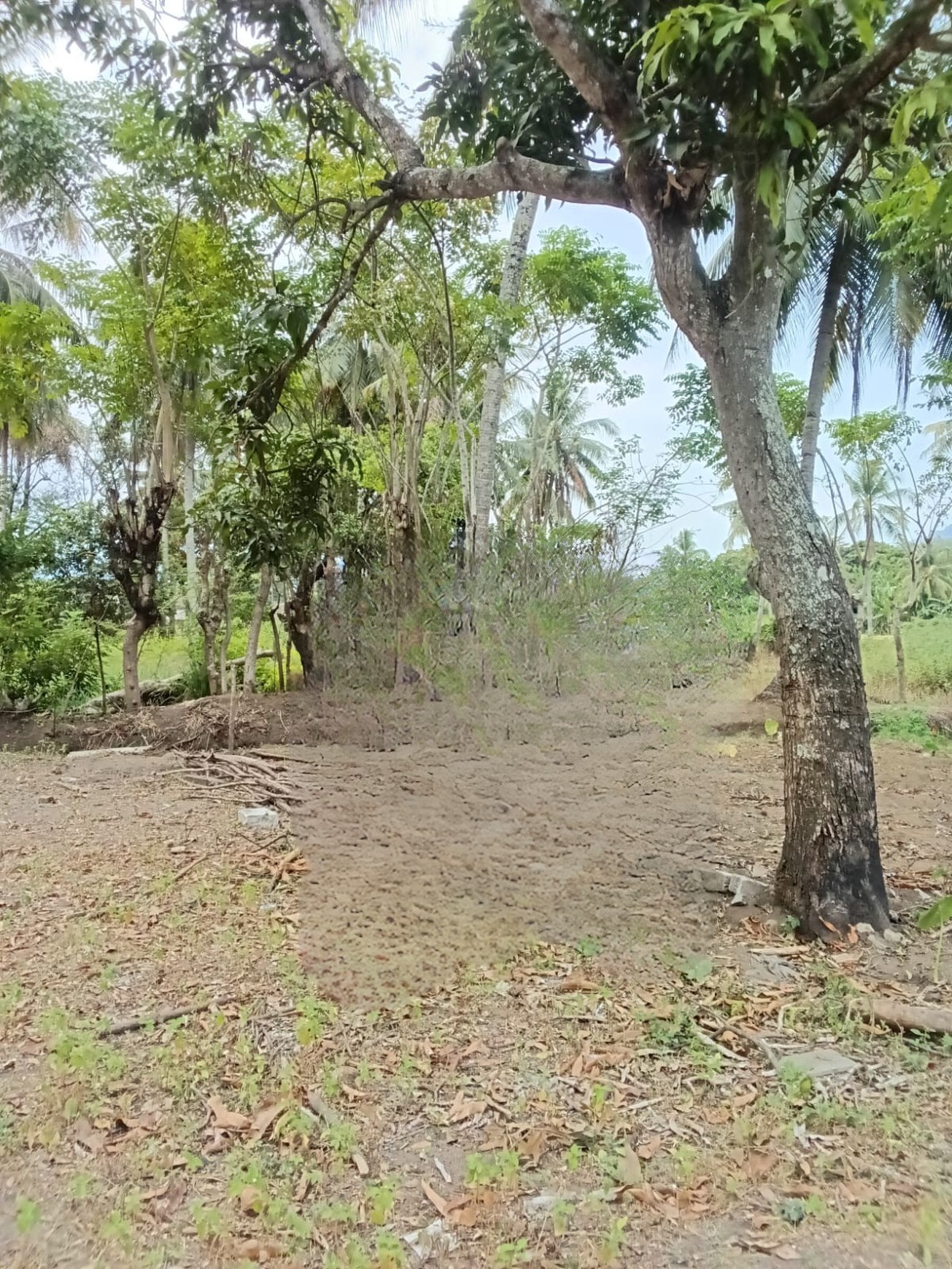 Tanah 5000 m&#xb2; Cocok Villa / Bisnis Kawasan Wisata Pelabuhan Ratu