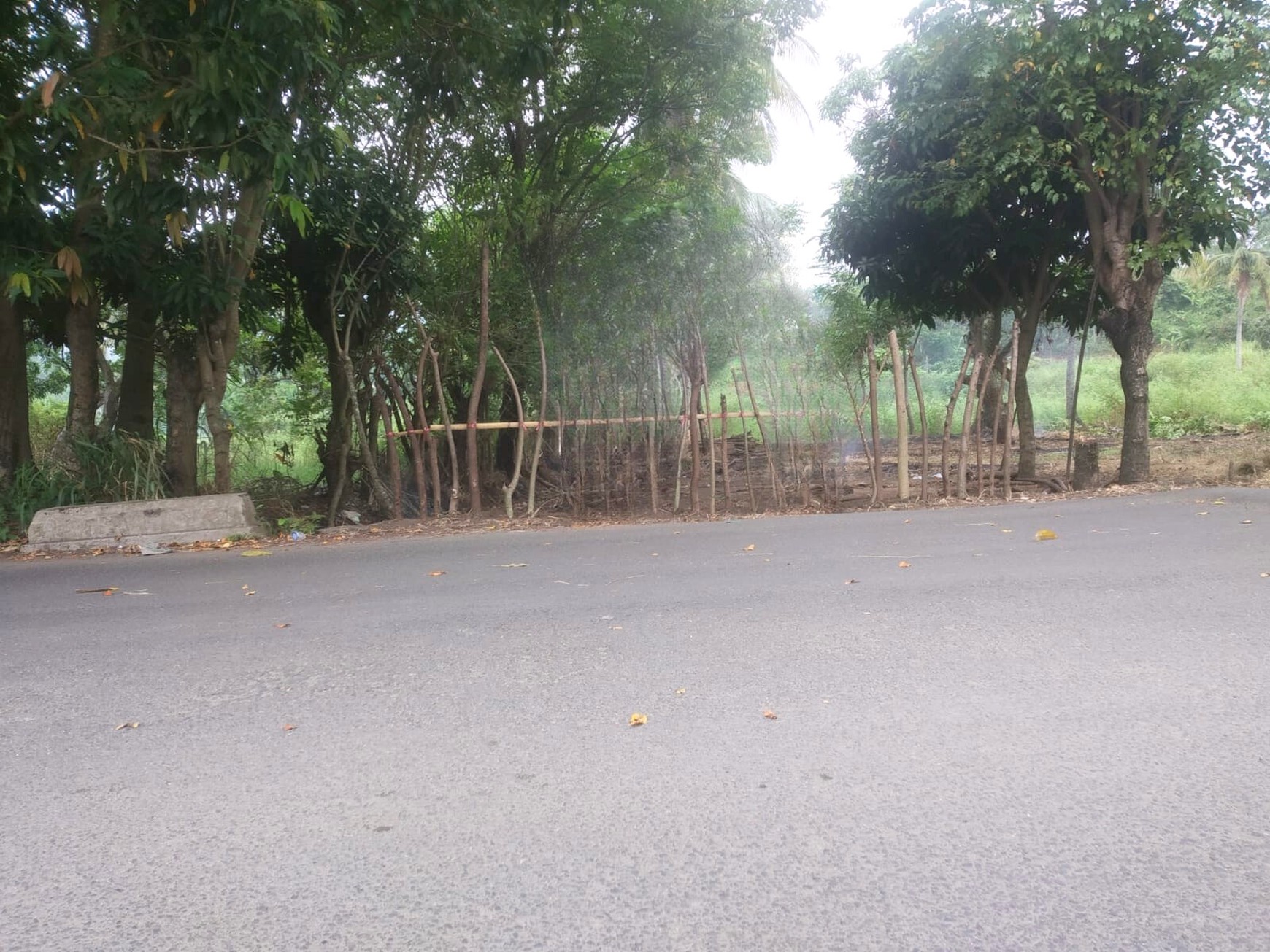 Tanah 5000 m&#xb2; Cocok Villa / Bisnis Kawasan Wisata Pelabuhan Ratu