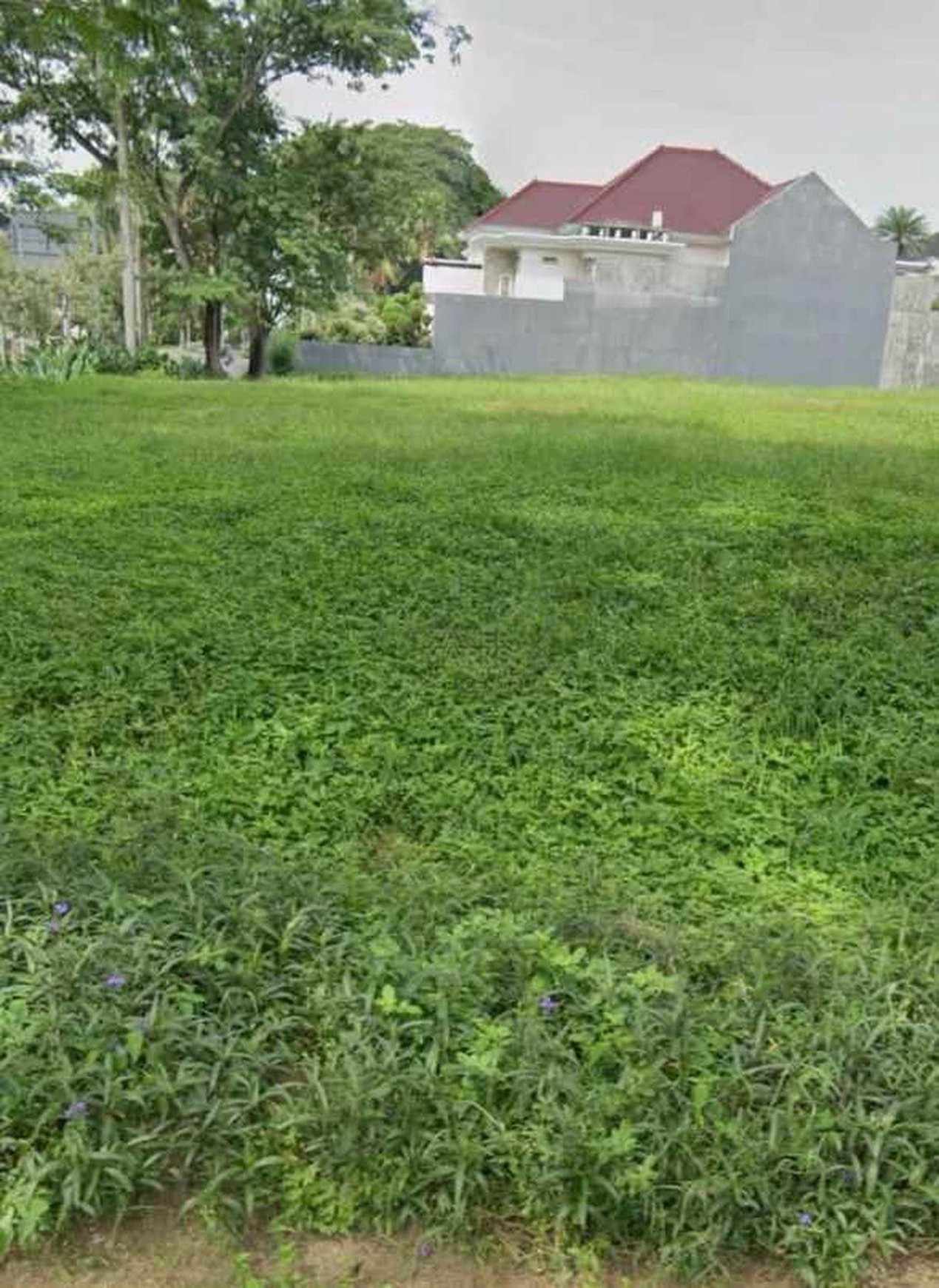 Jual Tanah Luas Murah Strategis di Villa Taman Telaga Citraland Surabaya