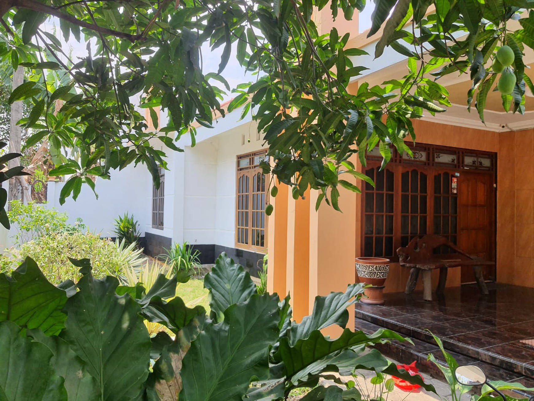 Rumah 1035 Meter Persegi Lokasi Dekat Universitas Terbuka Salut Kudus