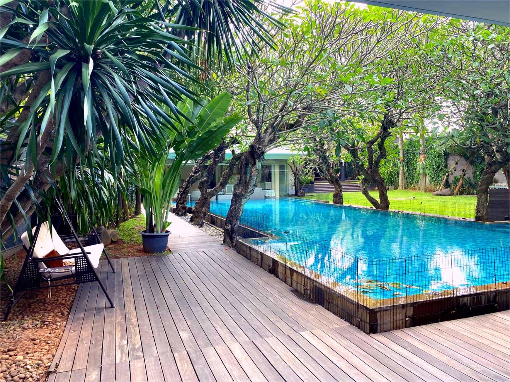  Rumah Tropis dengan design yang Mewah di Bintaro 