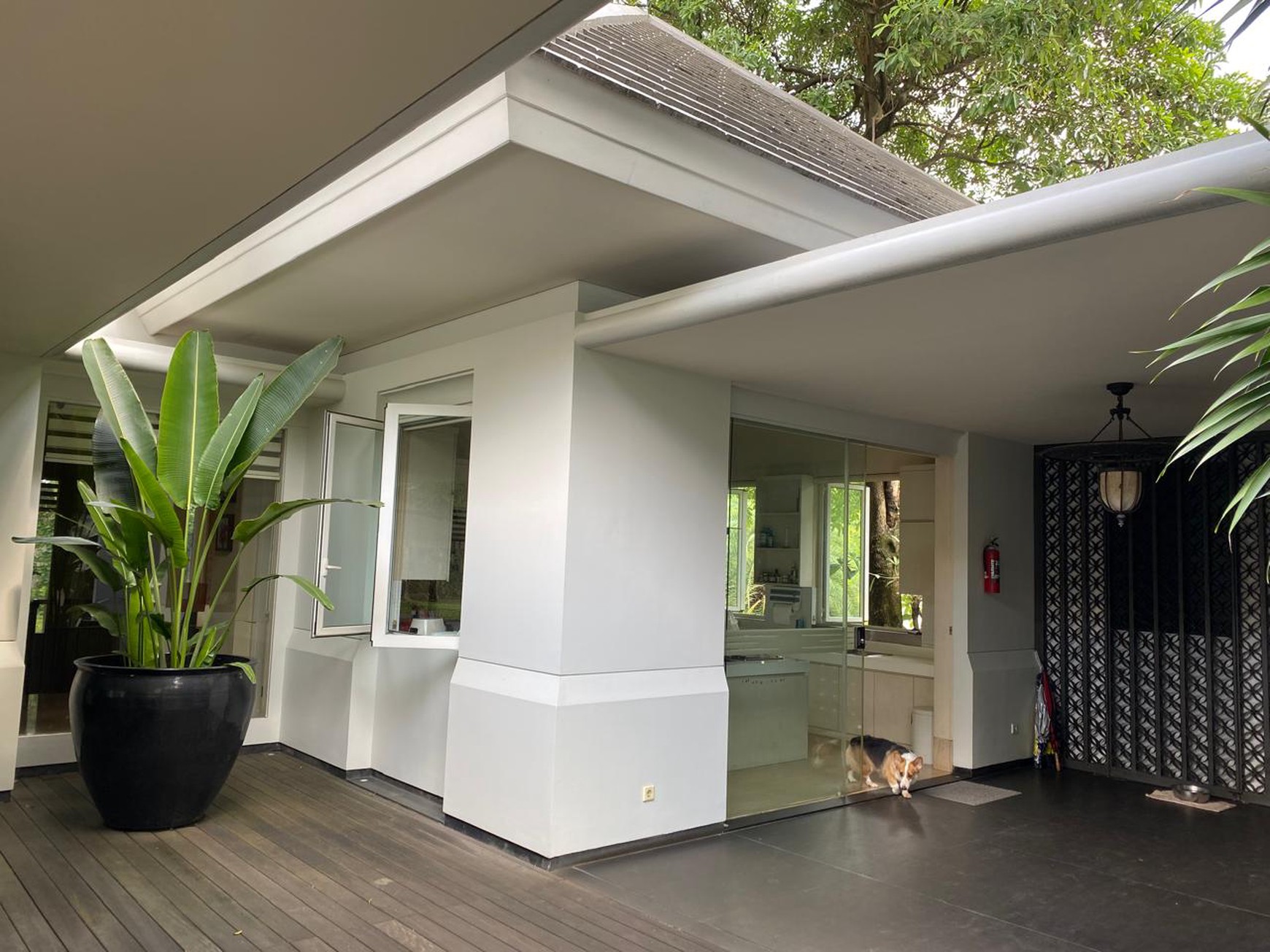  Rumah Tropis dengan design yang Mewah di Bintaro 