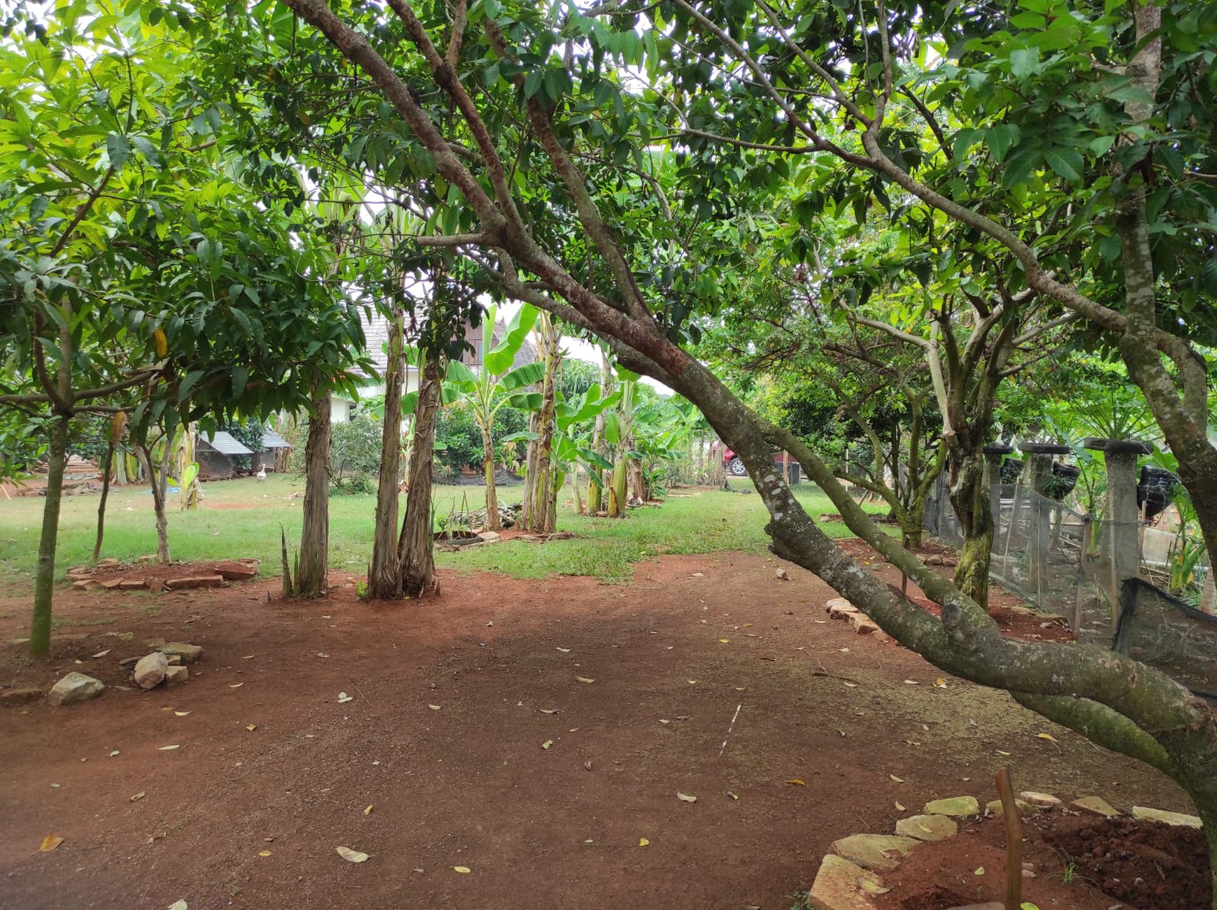 Rumah Asri dengan Kebun & Sawah Produktif - Hunian Nyaman, Investasi Menjanjikan di Srengseng Sukatani
