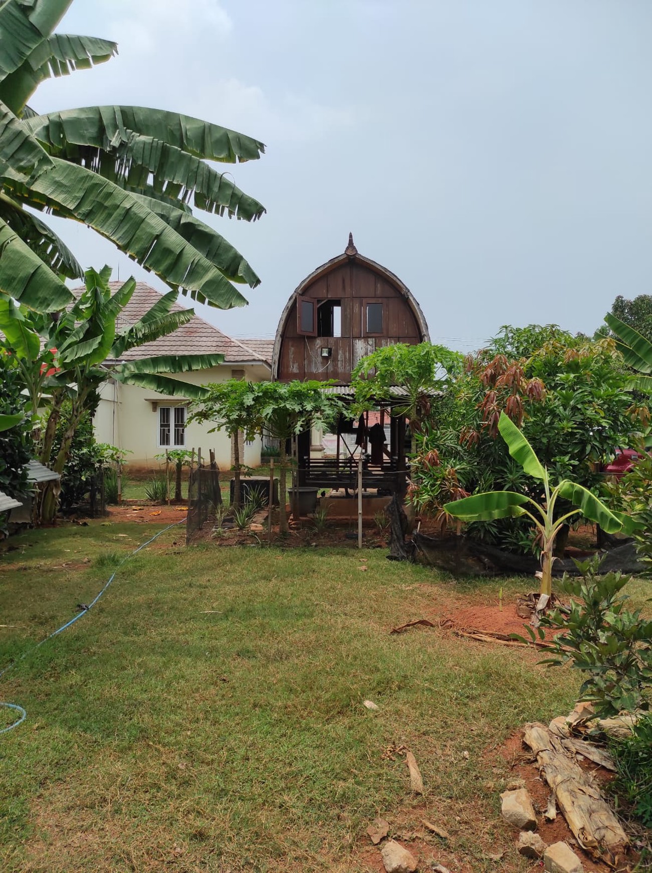 Rumah Asri dengan Kebun & Sawah Produktif - Hunian Nyaman, Investasi Menjanjikan di Srengseng Sukatani