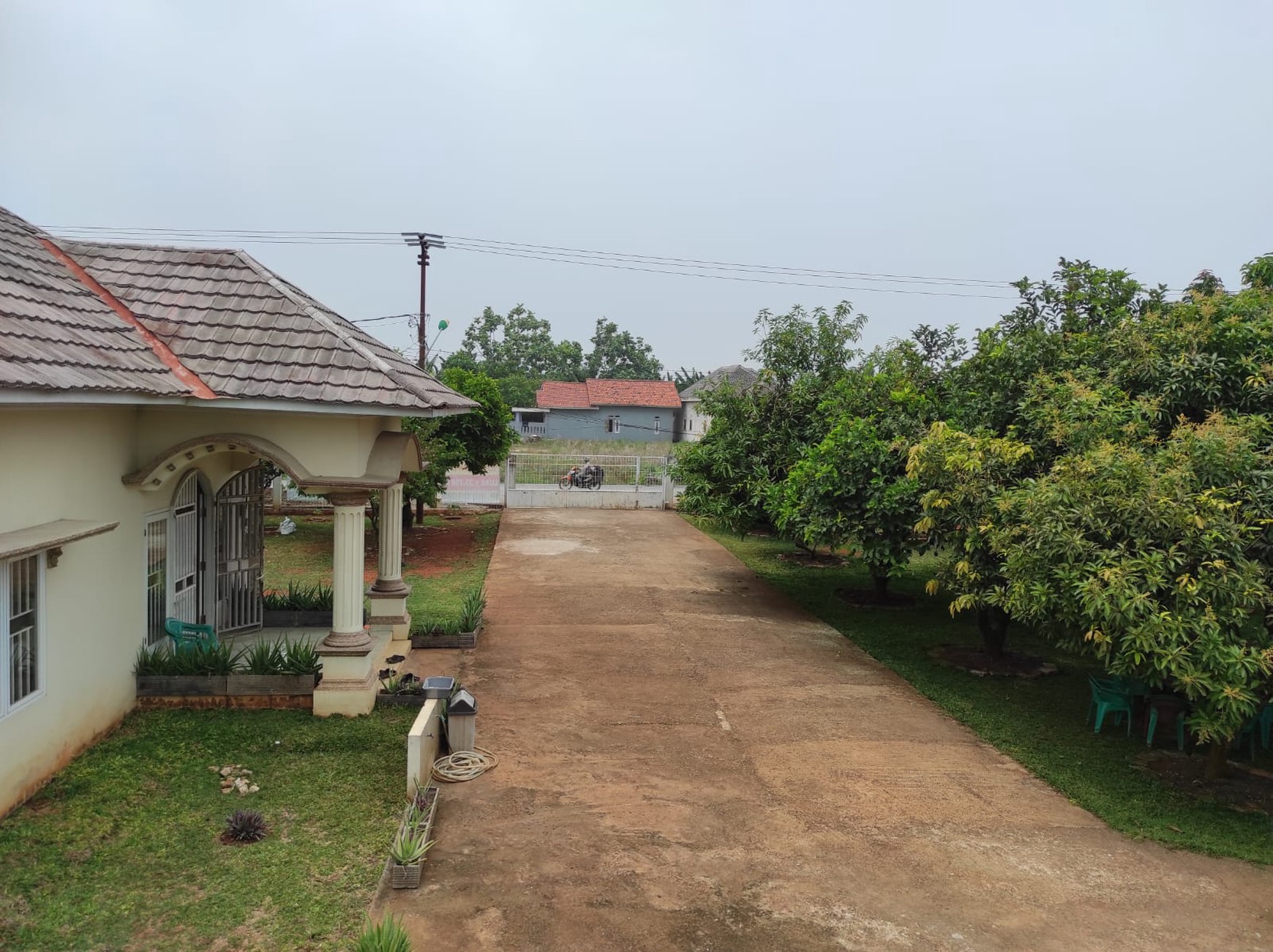 Rumah Asri dengan Kebun & Sawah Produktif - Hunian Nyaman, Investasi Menjanjikan di Srengseng Sukatani