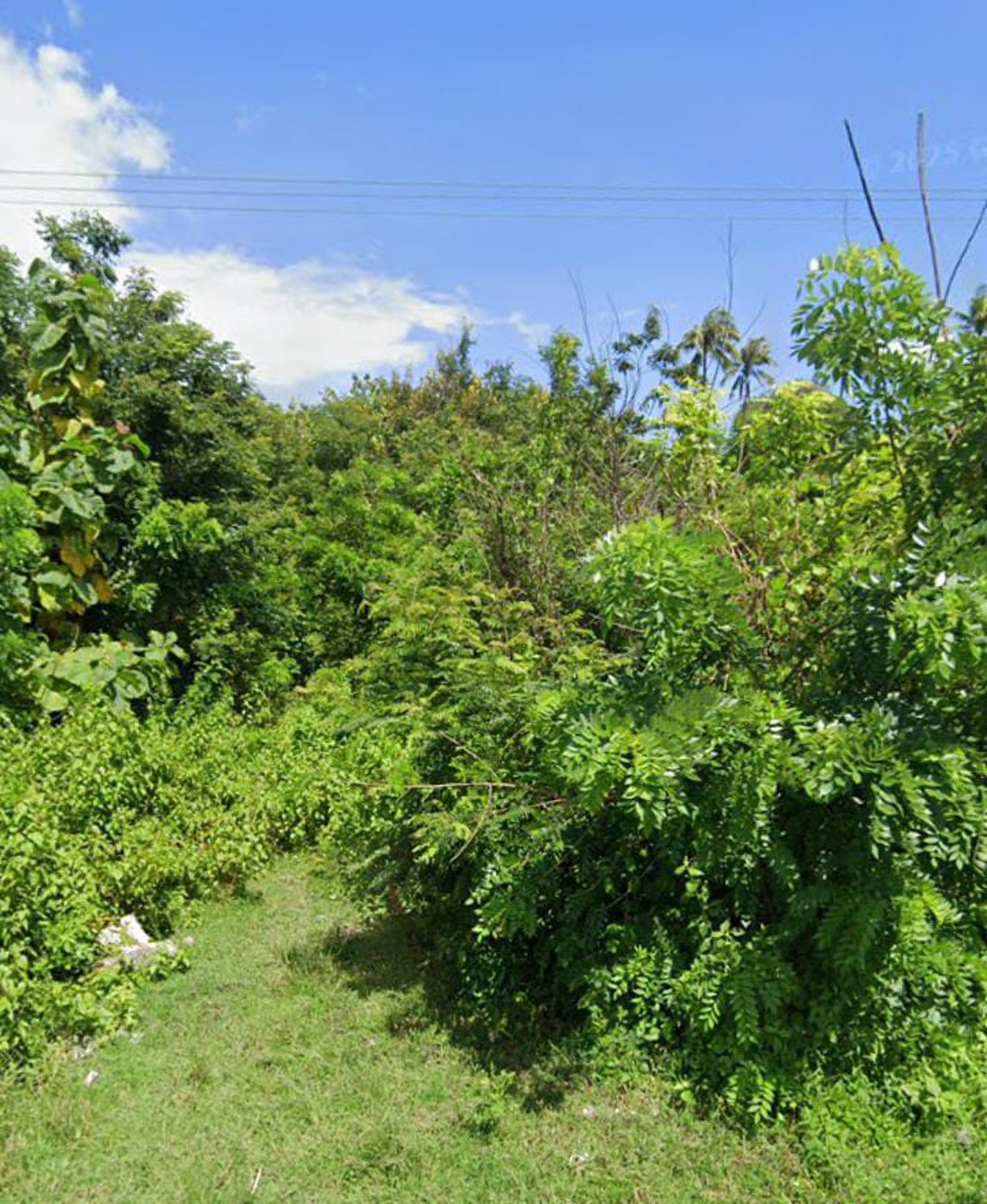 Jual Tanah Strategis Kupang Barat - Oematnunu, Nusa Tenggara Timur