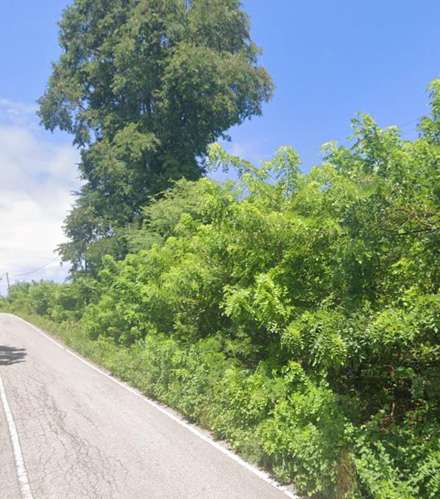 Jual Tanah Strategis Kupang Barat - Oematnunu, Nusa Tenggara Timur