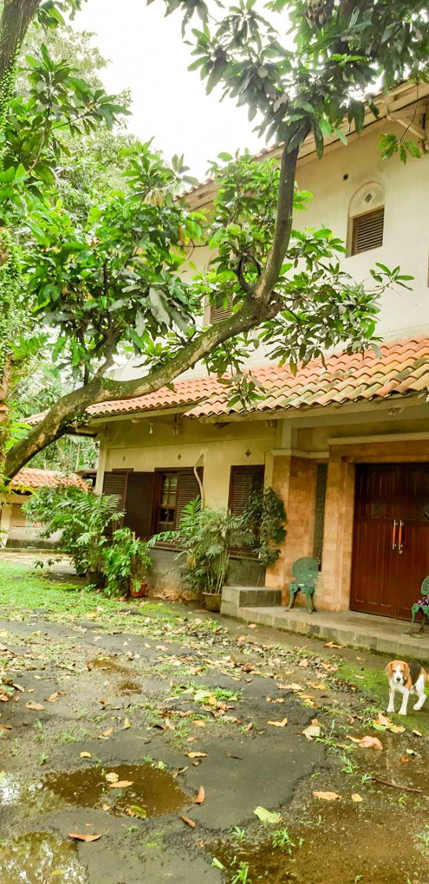 Dijual Rumah di Pesanggrahan 