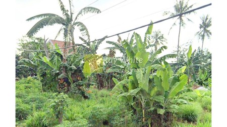 Tanah murah cocok untuk Kostan / tempat tinggal lokasi tanjung senang