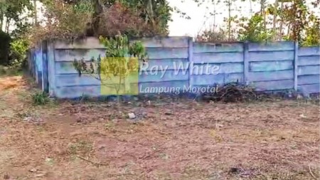 Dijual Tanah lokasi pramuka rajabasa dekat Kuliner Mbo WITO Lampung