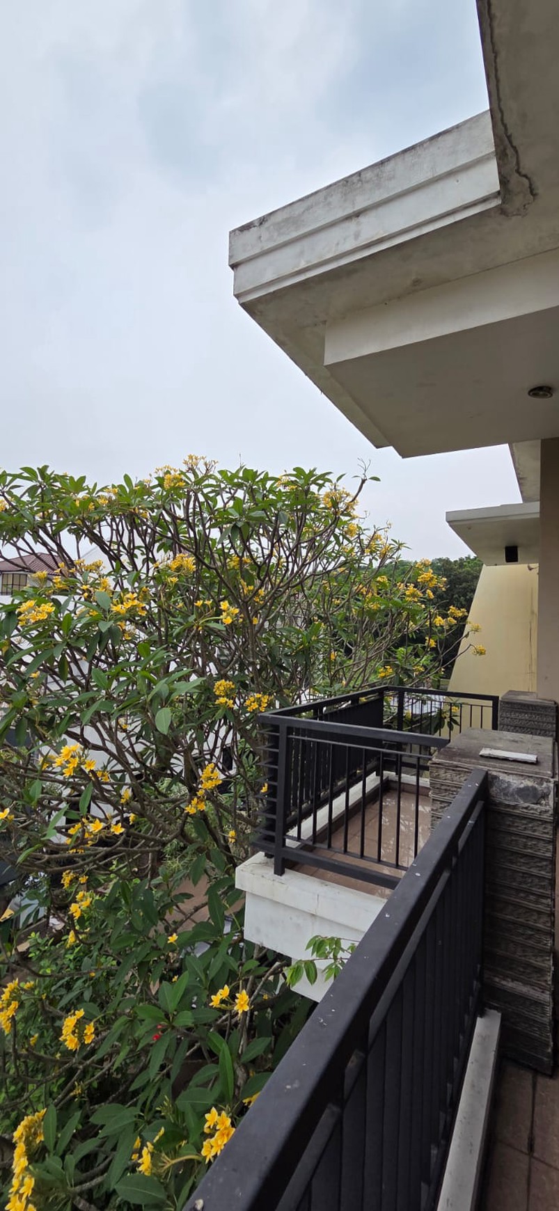  Rumah mewah dalam lingkungan premium dan strategis di Bintaro Jaya