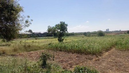 DiJual Tanah Randegansari dekat Area Industri Driyorejo