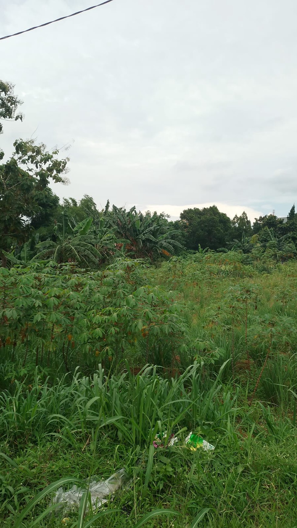 Kavling Murah Siap Bangun dan Cocok Untuk Perumahan @Bogor Selatan, Bogor