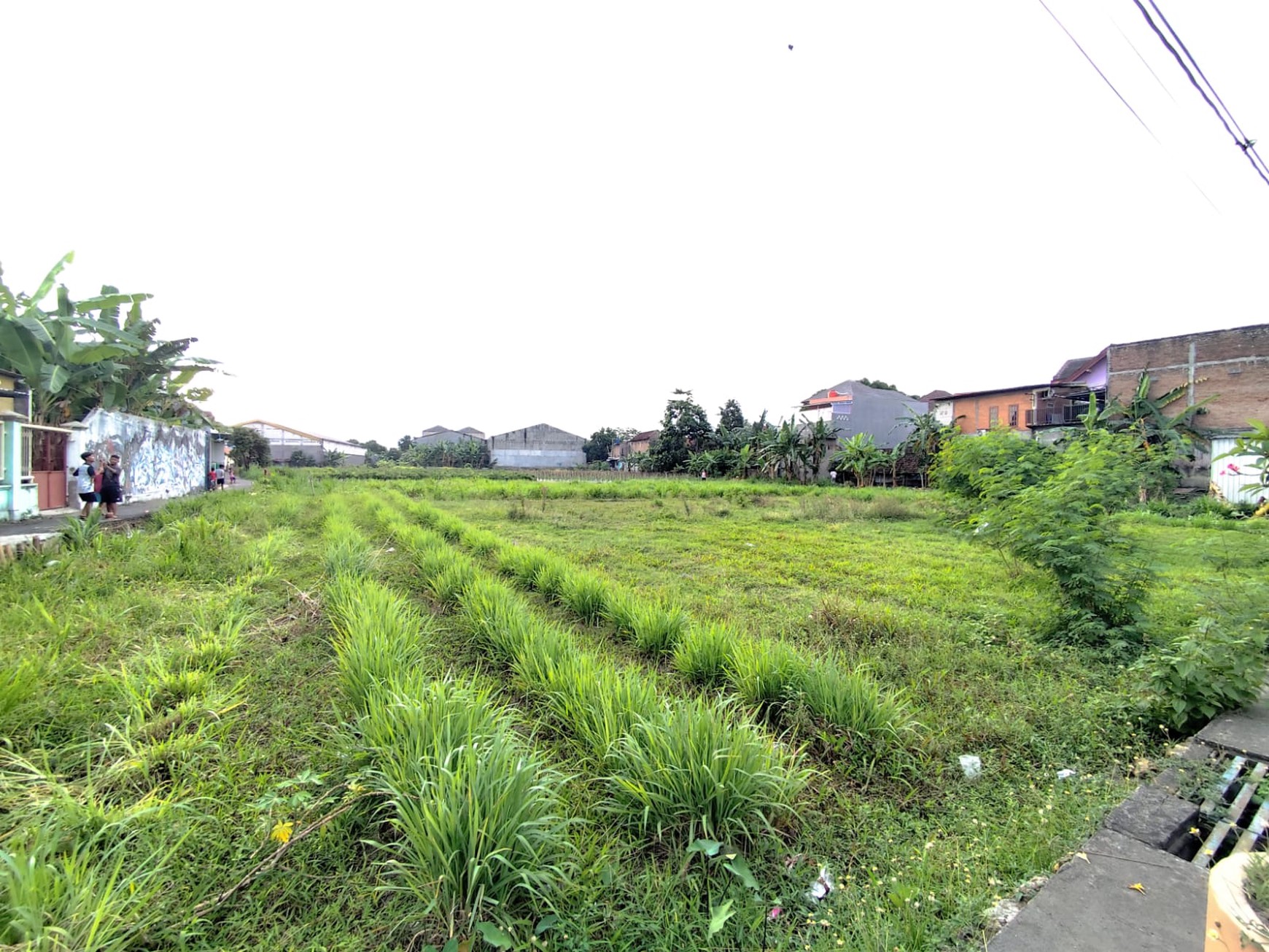 Tanah 1942 Meter Persegi Lokasi Dekat Kampus PGRI Ngestiharjo, Kasihan, Bantul