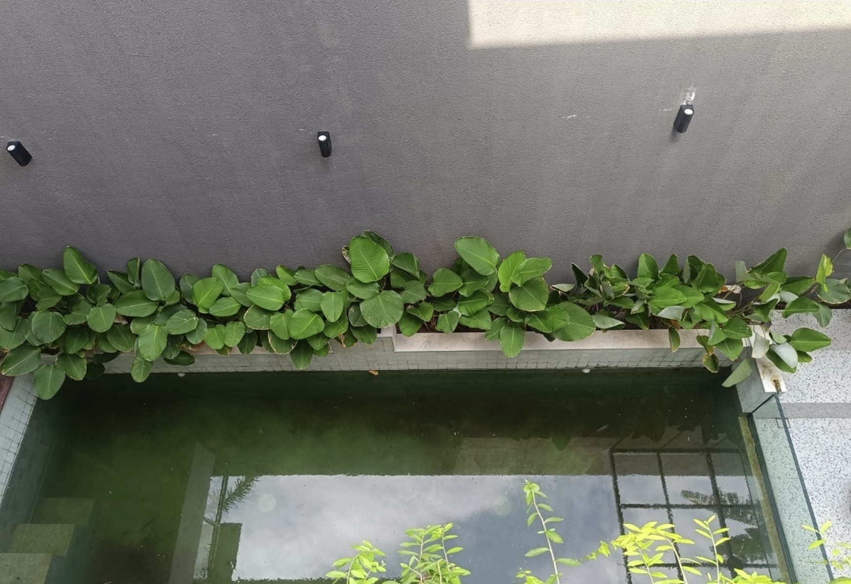 DIJUAL RUMAH BARU MODERN Tropical Balinese, CitraLand Utama, Surabaya Barat