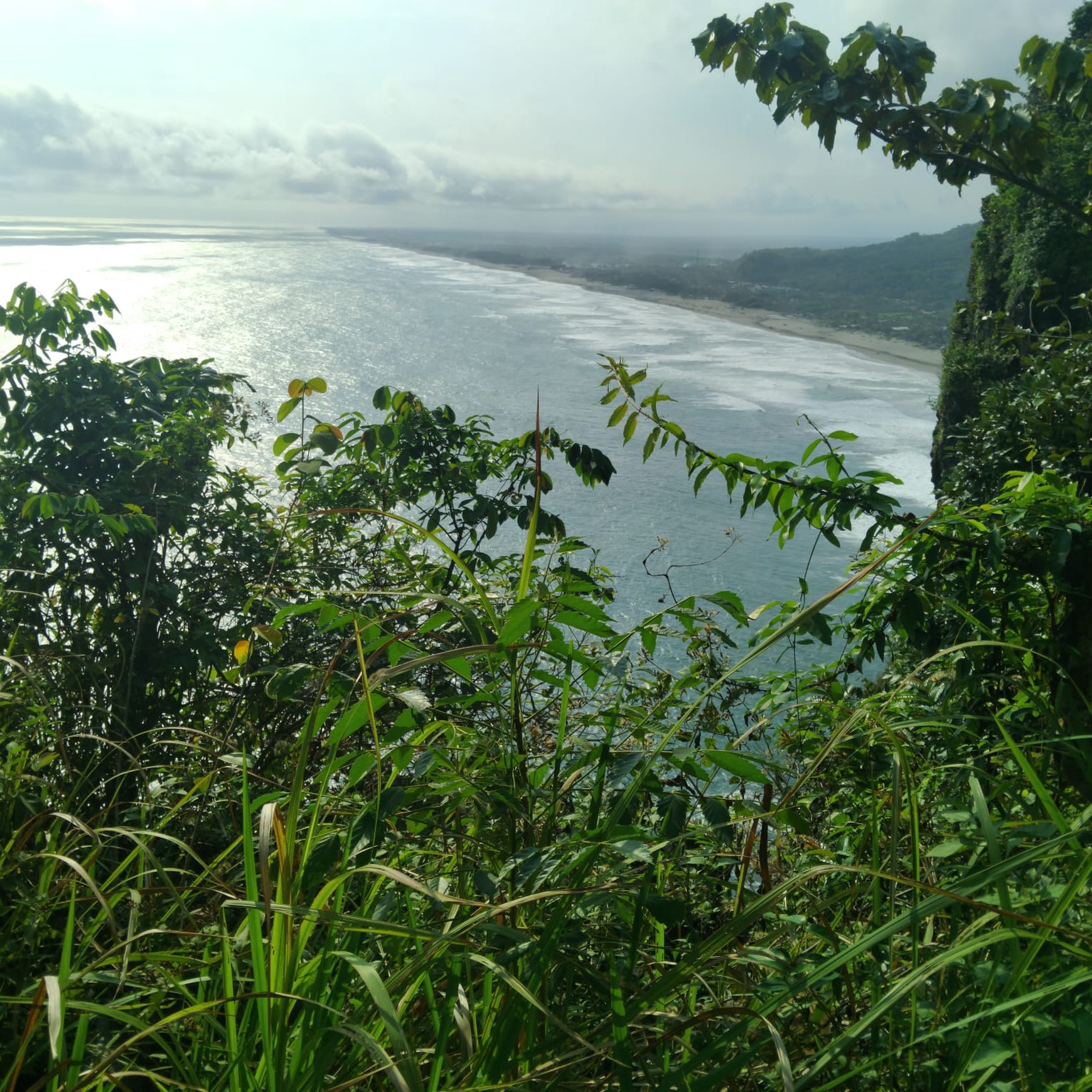 Dijual Tanah Luas Lokasi Strategis di Kawasan Wisata Pantai Parangtritis 