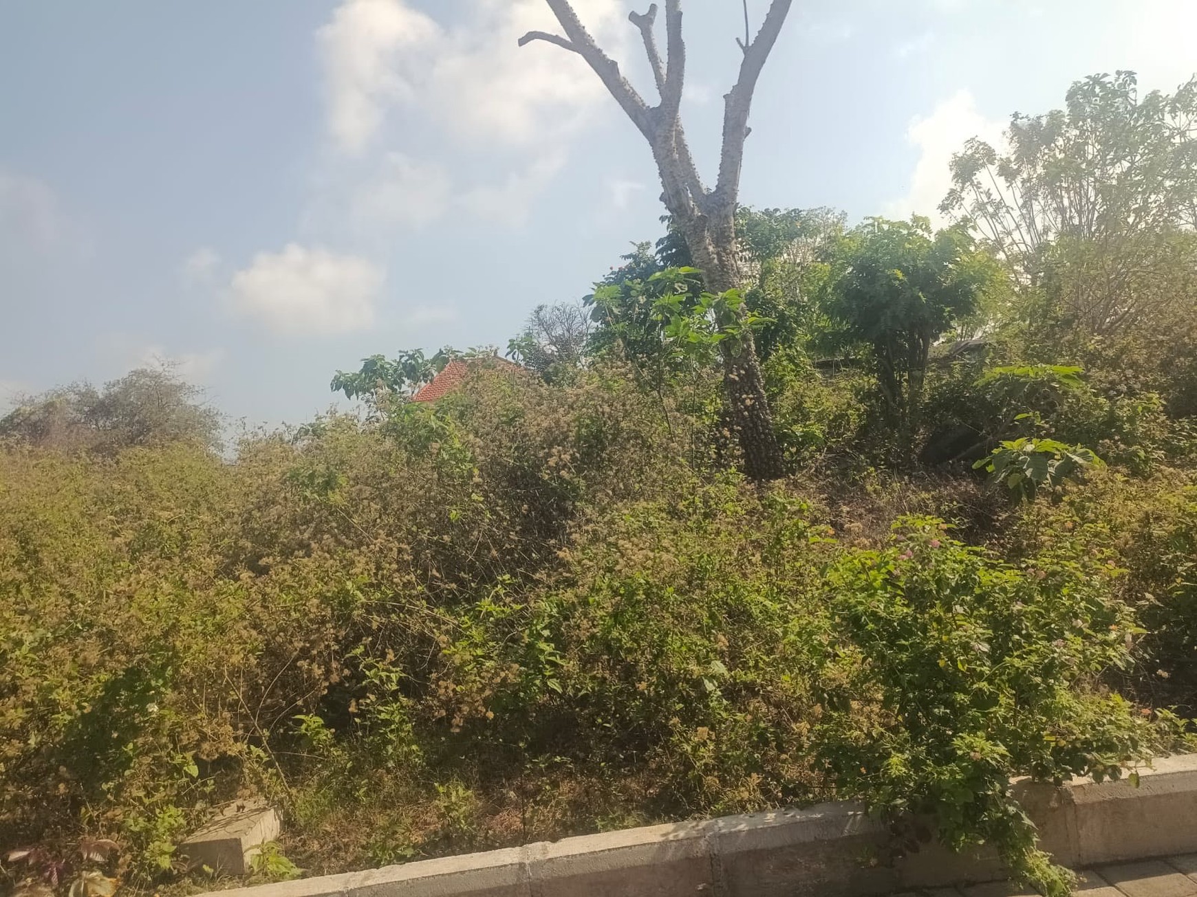 Land Freehold 7 Minute Fom The Beach Nyang Nyang Bali