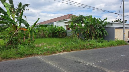 Tanah Luas 3122 Meter Persegi Lokasi di Jalan Palagan Donoharjo Ngaglik Sleman